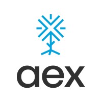 AEX Corretora | Seguros e Consórcios logo - Similar company to Soberano Corretora De Seguros, Consórcios E Financiamentos