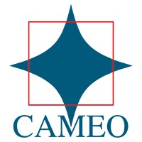 Cameo E-Publishing Services logo - Similar company to Ada Compliance Network, Inc.