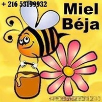 -عسل باجة-Honey From Tunisia logo - Similar company to عسل مجيد Majeed Honey🍯