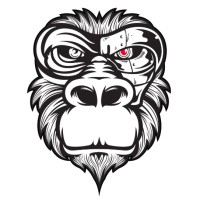 Jungle Robots logo - Similar company to Paga En Línea