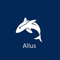 Allus Consultoria Estratégica e Financeira logo - Similar company to Steinman Communications