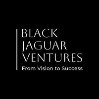 Black Jaguar Ventures logo - Similar company to Bcg Land