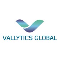 Vallytics Global logo - Similar company to Fantafacts Analytics