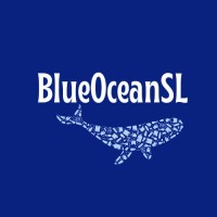 BlueOceanSL logo - Similar company to Institute Of Admissions Professionals (Iap)