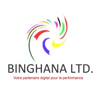 Binghana LTD logo - Similar company to Primeshare Inc.