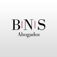 BNS Abogados logo - Similar company to Burgos, Mirosevic & Salvo