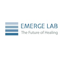 Emerge Lab logo - Similar company to Sgi Global