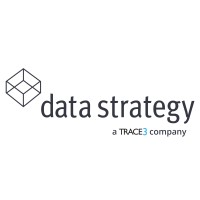 Data Strategy logo - Similar company to Century Technology Group