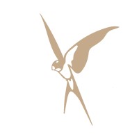 El Cielo Cine logo - Similar company to AyP soft