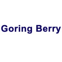 GORING BERRY LLP logo - Similar company to Unex Group Holdings Ltd.