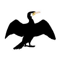 Cormorant Creative logo - Similar company to Agema Technology Inc.