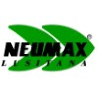 Neumax Lusitana logo - Similar company to E-Wise Consulting