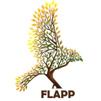Flapp Games logo - Similar company to Simulator Developer