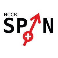 NCCR SPIN: Spin Qubits in Silicon logo - Similar company to Euresearch