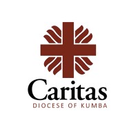 Caritas Diocese of Kumba logo - Similar company to Ferdsilinks