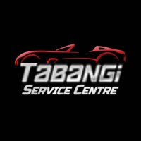 Tabangi Service Centre logo - Similar company to Neonninedesign