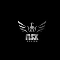 NSX Gaming logo - Similar company to Nsx Computers