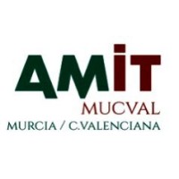 AMIT MuCVal logo - Similar company to Amit-Aragon