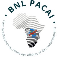 BNL-PACAI logo - Similar company to Amani Group