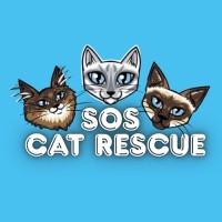Siamese Oriental and Snowshoe Cat Rescue logo - Similar company to Rocket Cat Rescue
