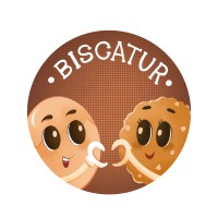 PT Bisca Innovation Indonesia logo - Similar company to Pt. Tamora Berlian Sentosa