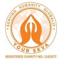 Your Seva logo - Similar company to Sehhat
