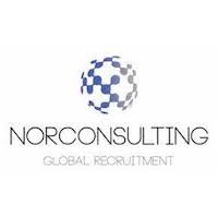 NORCONSULTING HEALTHCARE RECRUITMENT logo - Similar company to Melber Flinn