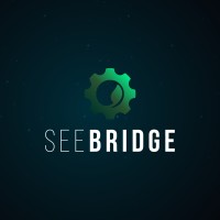 SEE BRIDGE logo - Similar company to Tealhelix Project