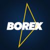Borex logo - Similar company to Borak Solutions Llc