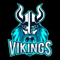 Vikings logo - Similar company to The Egoverse Llc