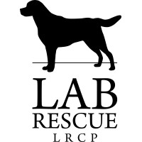 Lab Rescue LRCP logo - Similar company to Lincoln Park Group