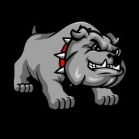 Big Dog Marine LLC logo - Similar company to Safety Storage, Inc.