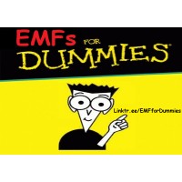 Emfs For Dummies