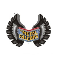 The Metal Falcons Racing Team logo - Similar company to Dexterous Dynamics