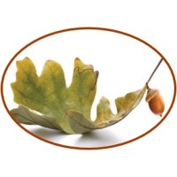 Whitelaw Compliance Group, LLC. logo - Similar company to Vertical Technologies