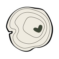 WA Cares Fund logo - Similar company to Kdrs