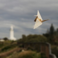 Origami Flight logo - Similar company to Neek Studio