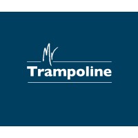 MrTrampoline logo - Similar company to Vanable