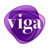 Viga Workshop logo - Similar company to Image Processing Lab