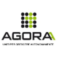 Consorzio Stabile Agoraa logo - Similar company to Alfalab