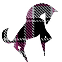 Plaid Pony Productions logo - Similar company to Events Unleashed