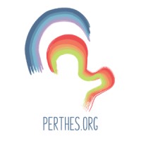 Perthes.org logo - Similar company to Perthes Kids Foundation