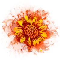 SunHeart Business Leaders logo - Similar company to Lowgile