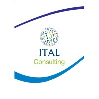 ITAL Consulting logo - Similar company to Ital Solutions