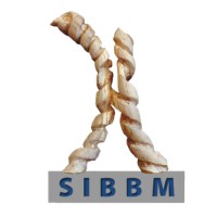 Sibbm - The Italian Society Of Biophysics And Molecular Biology