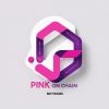 PINK on CHAIN logo - Similar company to International Digital Asset Exchange Association (Idaxa)