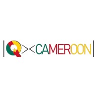 QCameroon logo - Similar company to Skywise Technologies