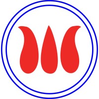 Magnum Technologies logo - Similar company to Smartray Solutions