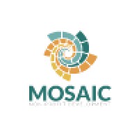 Mosaic Non-Profit Development logo - Similar company to Mosaic Community Developments Npc