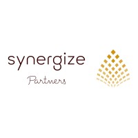 Synergize Partners logo - Similar company to Cx Studios